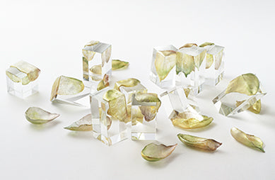 [Atelier visit] A glass artist; Emiko Tanoue 